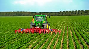 farming