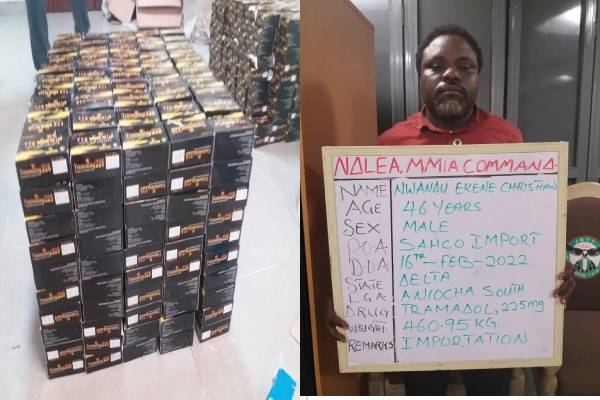 NDLEA SEIZURE