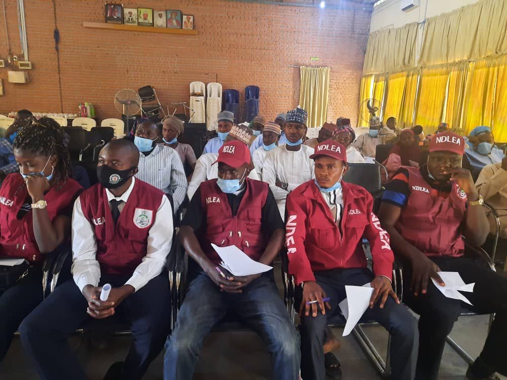 Criminality, insurgency are reasons for increasing Gender Based Violence in Borno – NOA