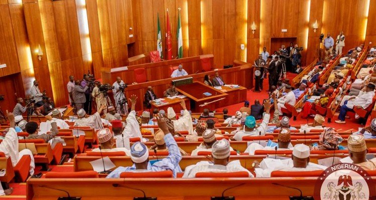 Nigerian Senate new