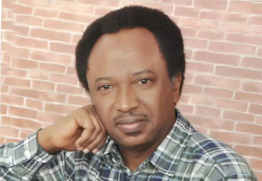 shehu-sani