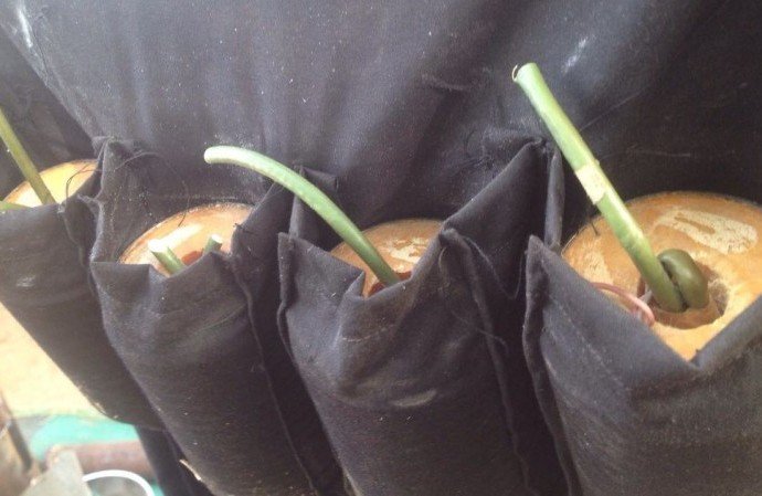 Suicide-bomb-vest-duly-primed-by-the-terrorists-690×449