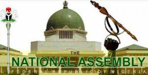 National-Assembly (2)
