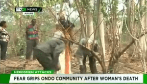 Ondo Herdsmen