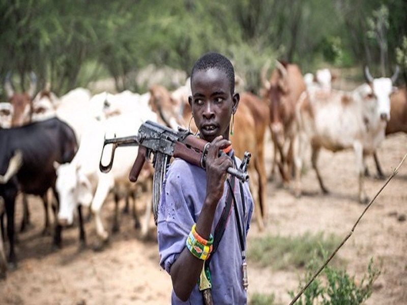 Cattle-herdsman-or-terrorist