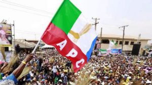 APC Convention – TVC