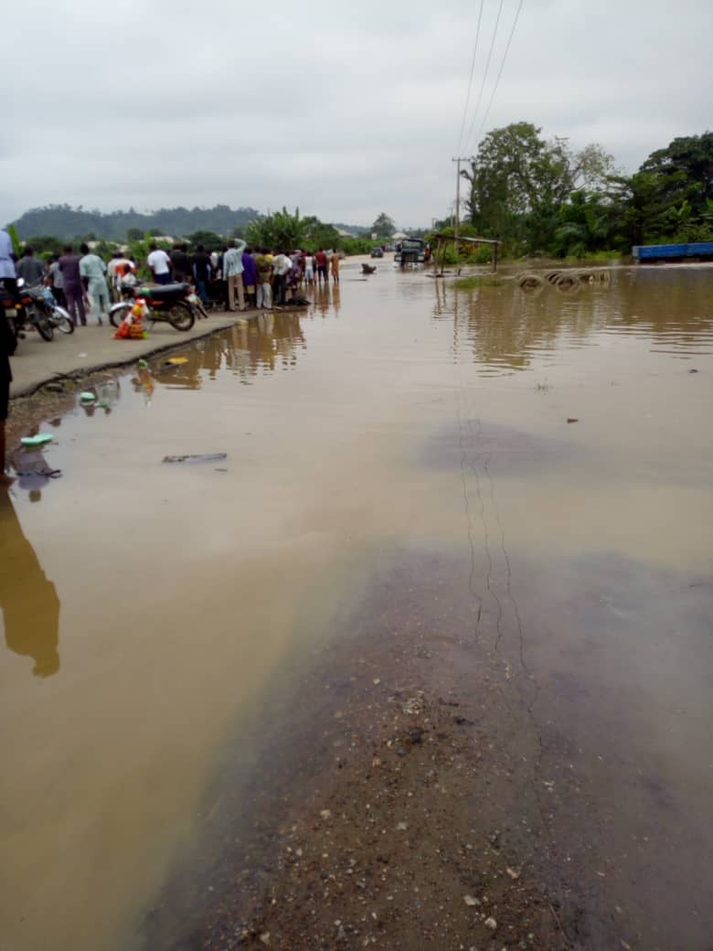 WhatsApp Image 2019-08-31 at 9.11.10 AM