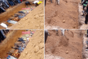 Kaura_killing_750x499