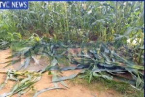 New Project – 2020-07-18T194220.383