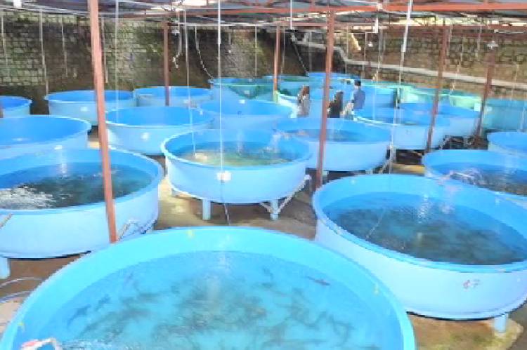 New Project – 2020-07-29T153107.540