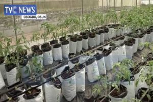 New Project – 2020-08-08T185406.321