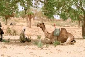 New Project – 2020-09-27T131318.449