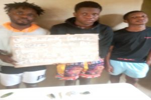 WhatsApp_Image_2020-09-25_at_3.57.36_PM_750x499