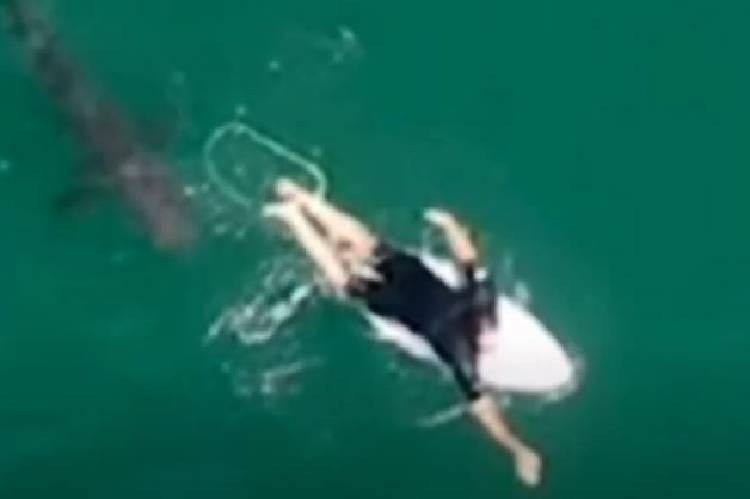 New Project – 2020-10-09T190240.972