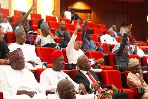 Nigerian-Senate-in-session_750x499