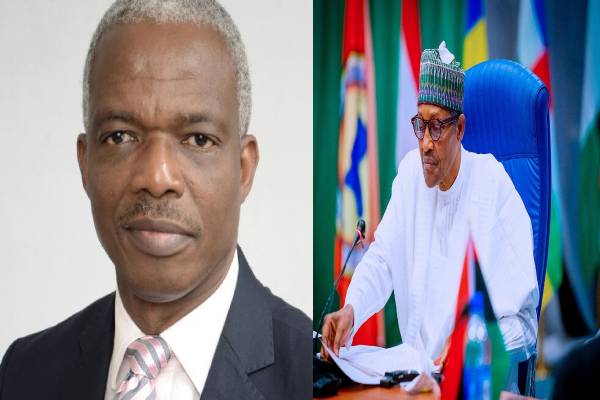 Buhari Appoints Salami