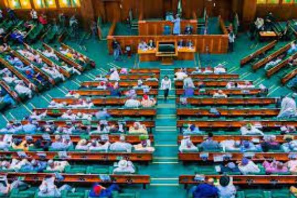 Ecological fund: Reps threaten MDAs, states for failing to honour invitation