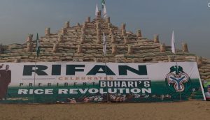 100 million bags of paddy rice pyramid unveiled