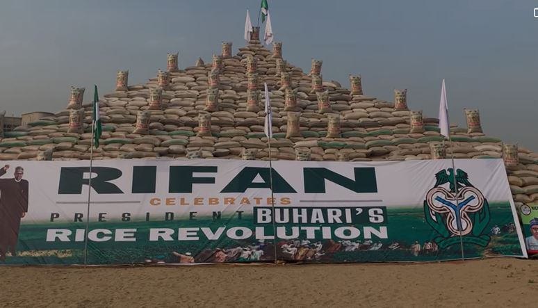 100 million bags of paddy rice pyramid unveiled
