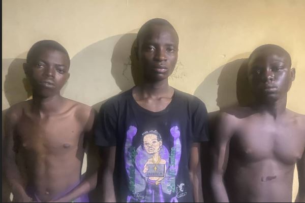 Teenagers arrested in Ogun