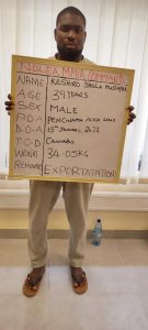  NDLEA intercepts 1.5million tramadol tablets, seizes cash, arms,others across 7 states