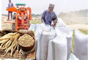 AfDB, CBN to support Nigerian farmers to attain wheat sufficiency