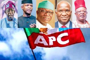 APC zones 2023 Presidency to Southern Nigeria