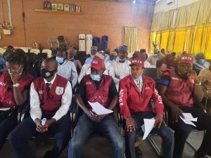 Criminality,  insurgency are reasons for increasing Gender Based Violence in Borno – NOA