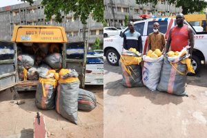 Drug Interception in Lagos