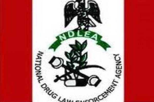 NDLEA QUARTER 1 REPORT