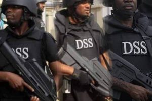 DSS ON INTERIM GOVT PLOT