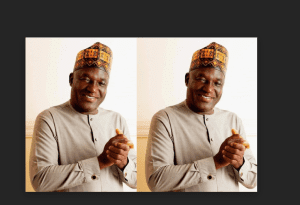 PLATEAU CENTRAL SENATOR