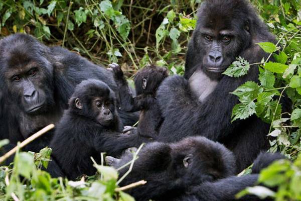 New Project – 2023-06-21T202600.868