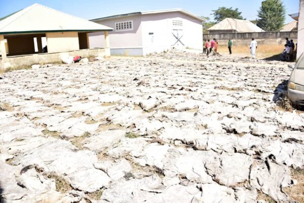 WhatsApp Image 2026-01-01 at 9.57.08 AM