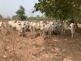 WhatsApp Image 2026-01-22 at 4.28.40 PM